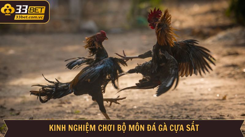 Đá Gà Cựa Sắt 33BET - Thỏa Mãn Đam Mê Giải Trí Đỉnh Cao 4 Các chiến lược hiệu quả nên ứng dụng trong chọi kê cựa sắt