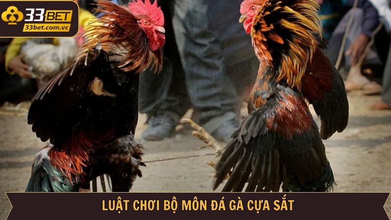 Đá Gà Cựa Sắt 33BET - Thỏa Mãn Đam Mê Giải Trí Đỉnh Cao 3 Quy định cần nắm về hình thức đá gà cựa sắt